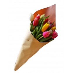 Tulip funnel