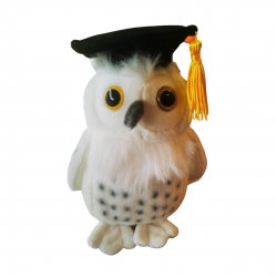 Graduation Owl